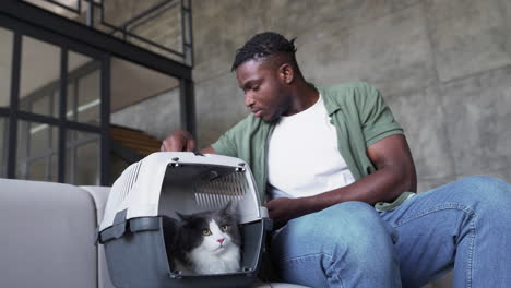 Katze-In-Einer-Transportbox