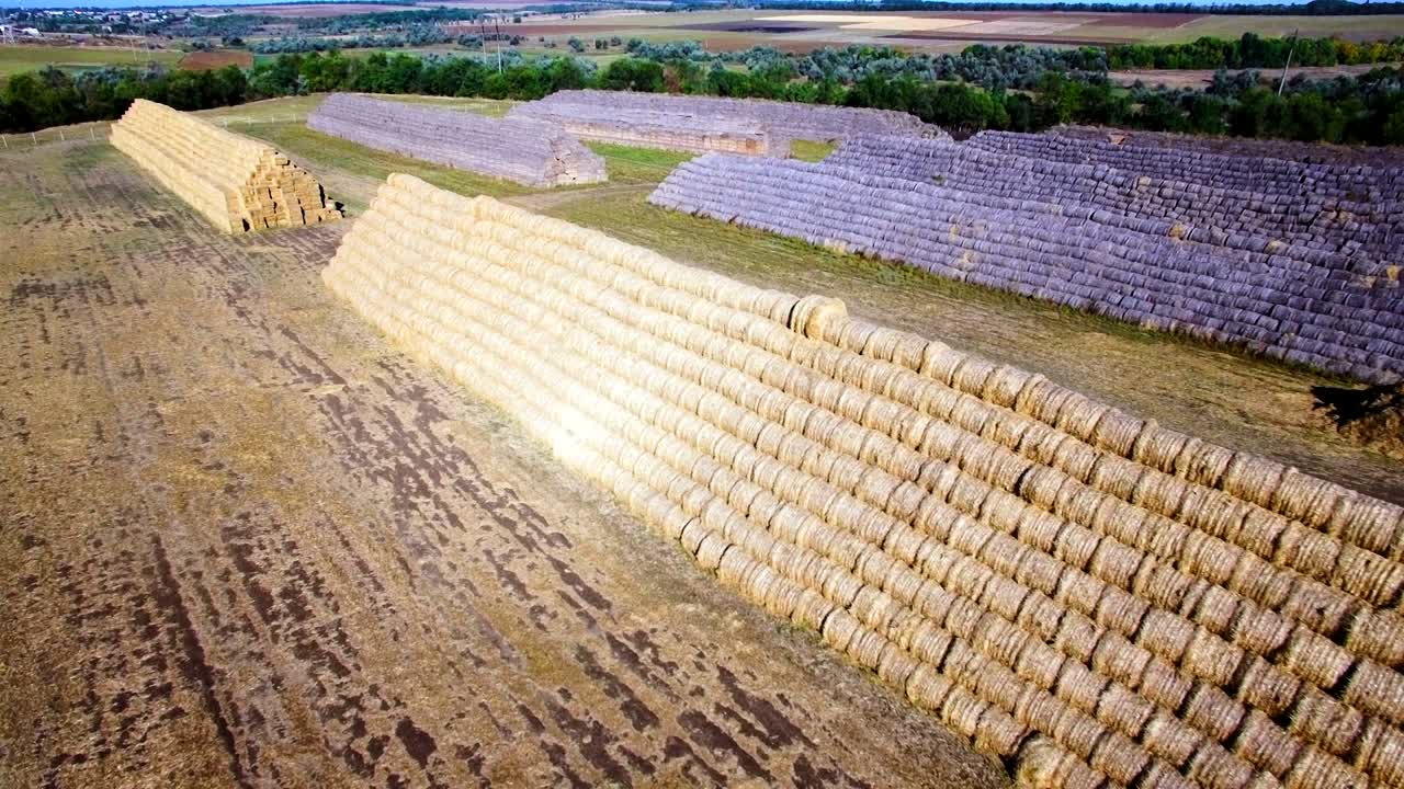 큰 어리 들 의 공중 에서 볼 수 있는 모습