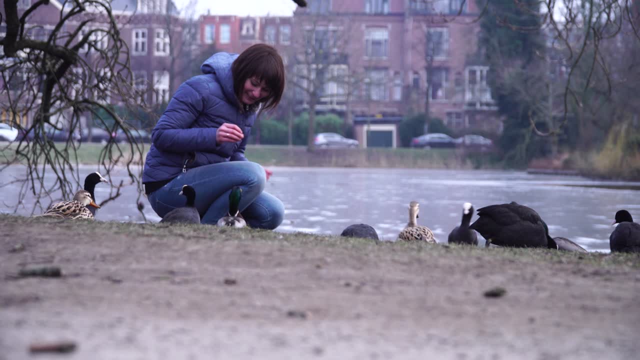 girl feeds ducks near a pond in a park in Amsterdam