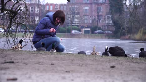 girl feeds ducks near a pond in a park in amsterdam