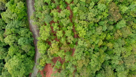 drone shot of a green forest with a patch of land visible