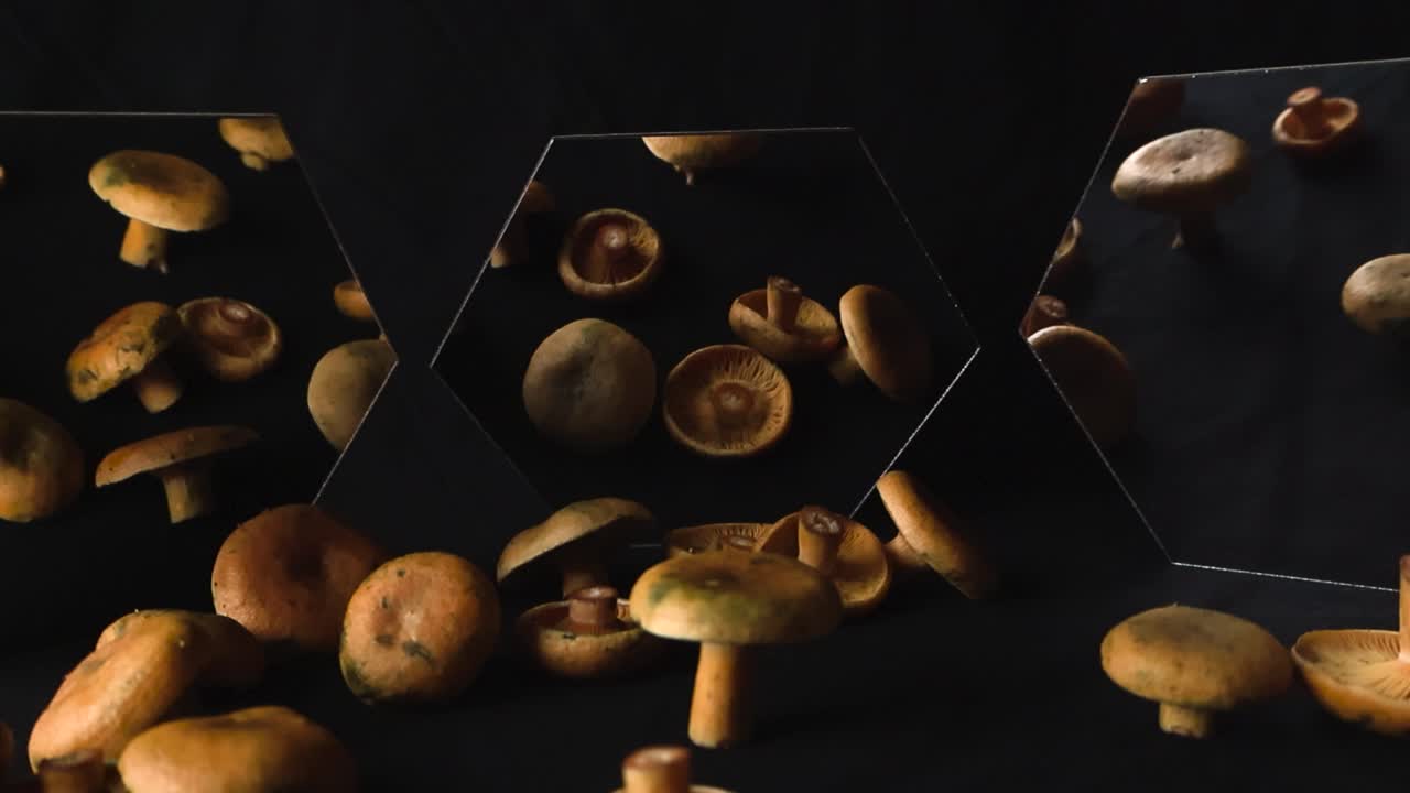 Close up view gliding over freshly cut orange milkcap mushrooms that are placed in front of hexagon shaped mirrors and black studio background under good spotlight lighting. Cut stems visible
