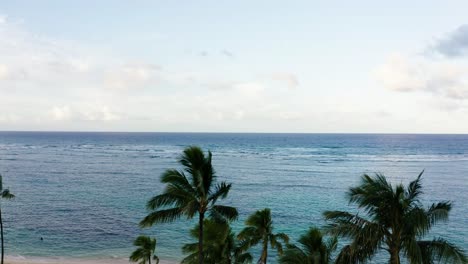 Rising-over-palm-trees-to-reveal-Waikiki-Bay-in-Oahu