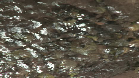 Close-up-rack-focus-of-water-in-Wheeler-Springs-above-Ojai-California