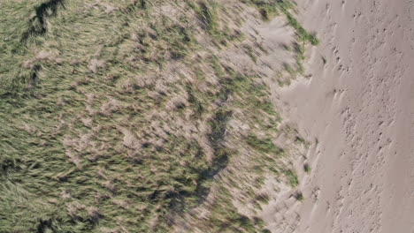pradera que se convierte en un desierto
