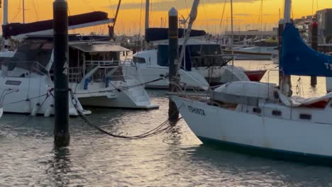 private boats in a large marina with a beautiful orange sunset at dusk