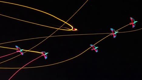 a dynamic dance of colorful birds in motion captured in vibrant trails against a dark background, showcasing their elegant flight patterns and graceful movements