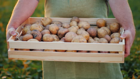 The-Farmer-Is-Holding-A-Wooden-Box-With-Potatoes-4K-Video