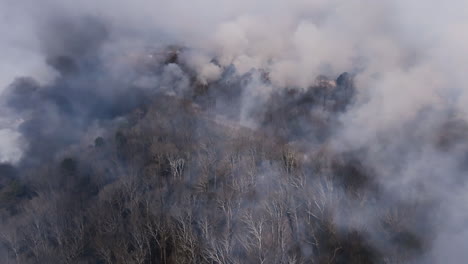 aerial drone footage flying above the trees of a forest that is on fire in georgia.