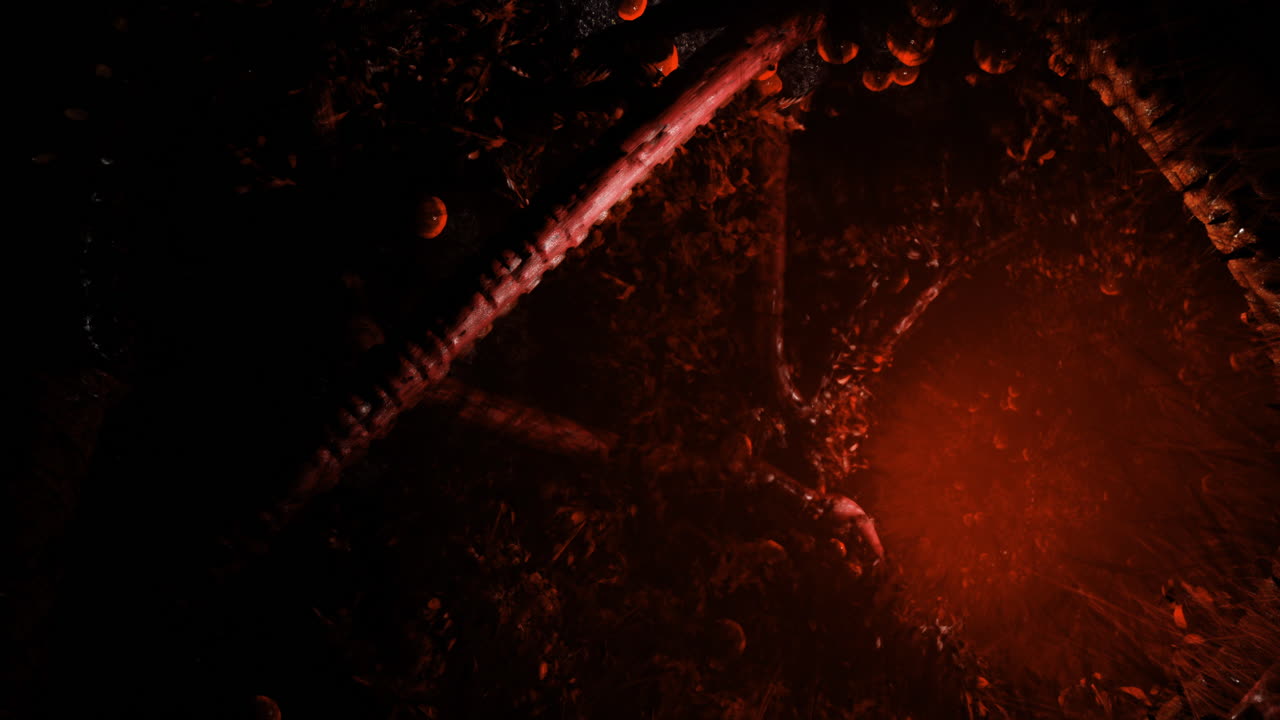 밀집된 숲에서 어두운 잎자루를 비추는 신비한 은 빛