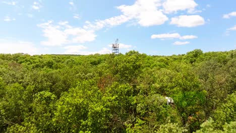 Tiro-Lento-Ascendente-De-Una-Torre-De-Telecomunicaciones-En-El-Bosque-De-Puéchabon.