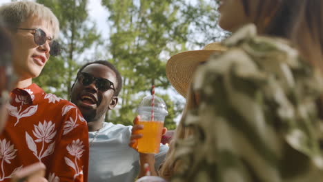 amigos en un festival de música al aire libre