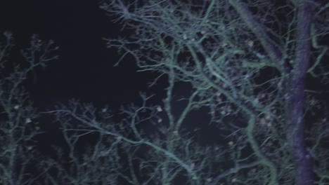 night mysterious landscape. silhouettes of the bare tree branches against the full moon and dramatic cloudy night sky