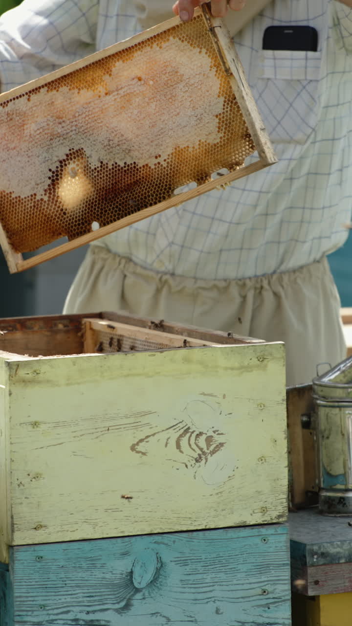 Beekeeper inspecting honeycomb frames