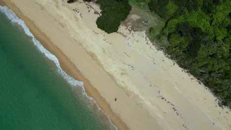 persona solitaria en la playa
