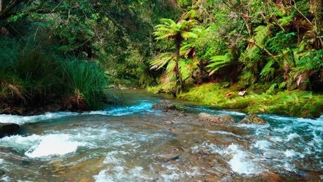 a serene river gracefully winding through a lush forest, offering a tranquil escape into the heart of nature's pristine beauty