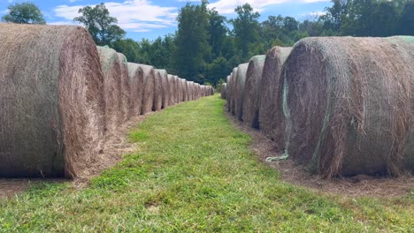 Herbstzeit-Runde-Heuballen-Im-Feld-In-Yadkinville-NC