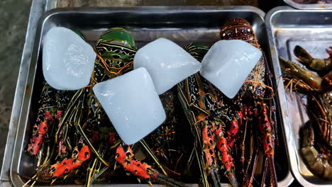 fresh lobster with ice on top in seafood market. topdown shot