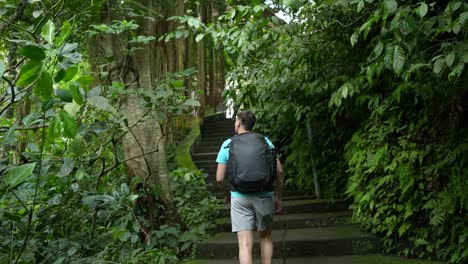 attractive young male explorer going through the jungle on a paved stone path shot from behind in a shade of rain forest with photography gear and backpack walking upward on stairs ubud bali indonesia
