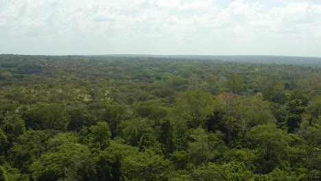 Vasto-Desierto-Africano-Con-Densos-Bosques-Y-Un-Enorme-Ecosistema