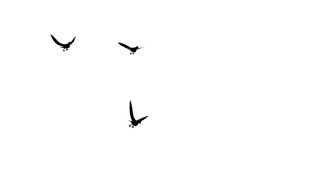 Panoramic view from flying birds Travel in the wild in the air Loop ...