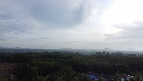 Drone-flies-straight-steadily-above-palm-trees-during-mid-afternoon-in-Malaysia