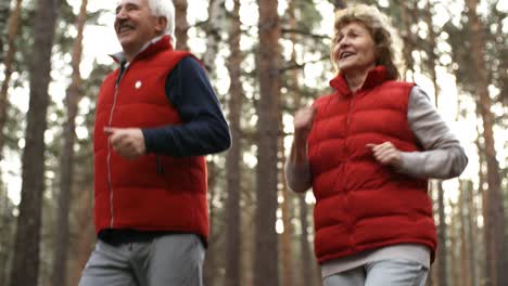 glückliches älteres paar, das zusammen im wald läuft