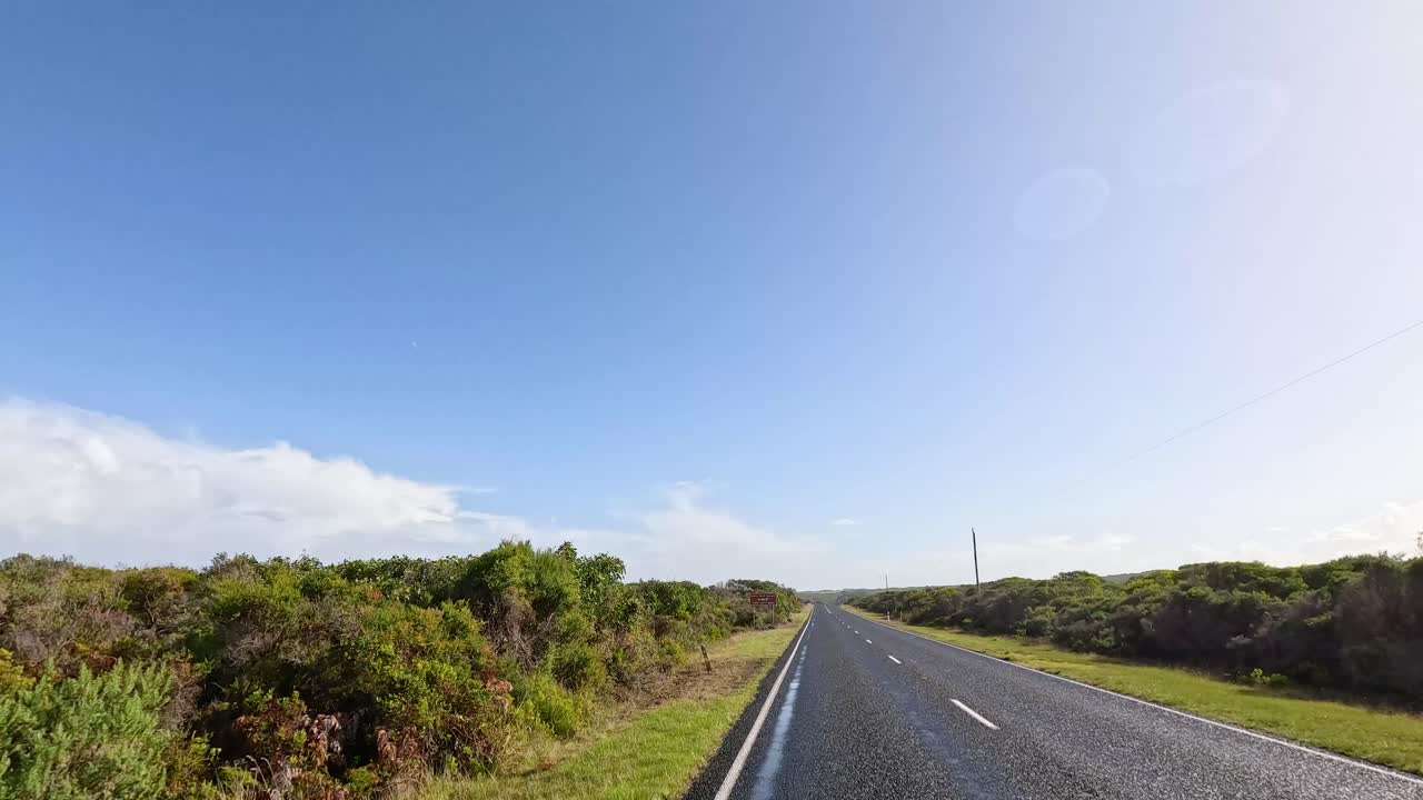 울창 한 초록색 을 가로질러 조용 한 운전