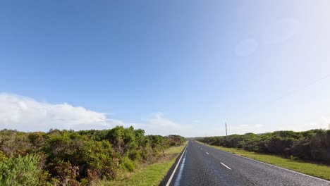 a serene drive through lush greenery