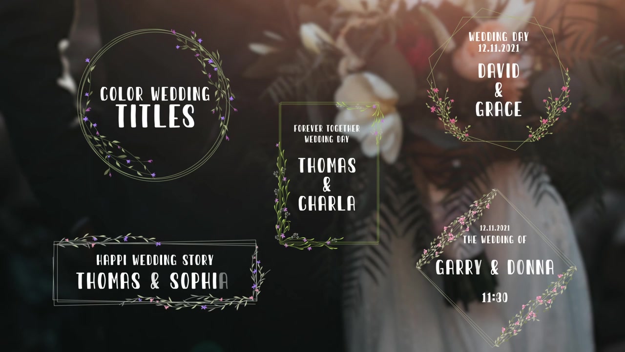 Titoli di matrimonio animati con cornici floreali e geometriche