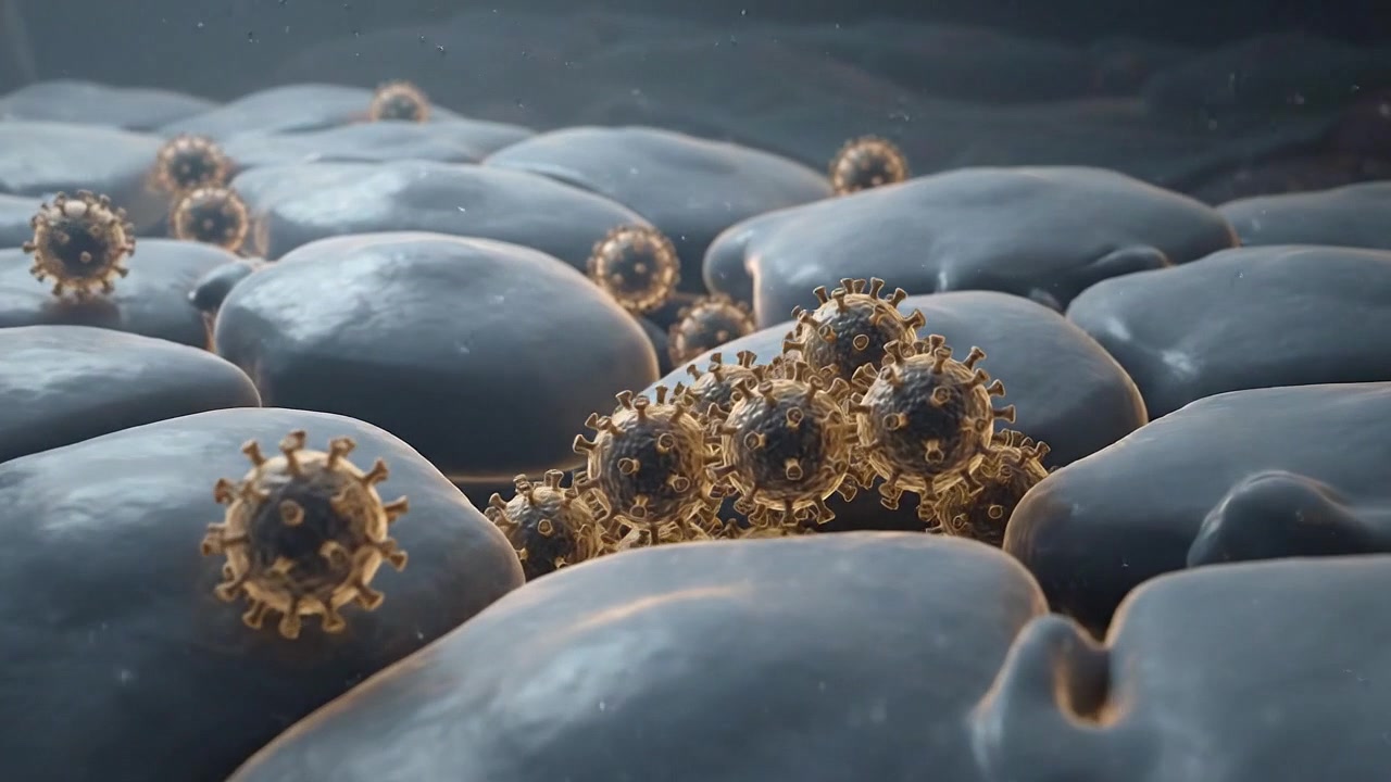 Microscopic View of Viral Particles Attaching to Human Cells