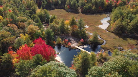 aerial view of autumn colors forest and calm lake with a bridge connecting two islands