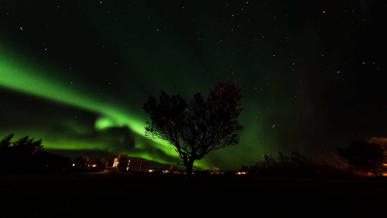 lapso de tiempo de increíbles auroras boreales filmadas en islandia con un hermoso árbol solitario en primer plano