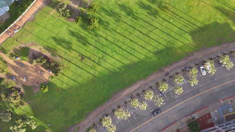 La-Jolla-Cove-Drone-Flyover-From-Parking-Lot-Over-Park-To-The-Cliff-Over-the-Ocean-With-Sunrise-shadows-of-Palm-Trees