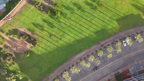la jolla cove 드론 플라이오버는 주차장에서 공원 위에서 바다 위의 절벽까지 나무의 해가 뜨는 그림자와 함께