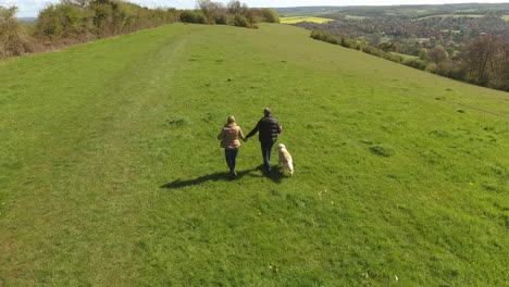 fotografía aérea de una pareja madura y un perro caminando por el campo