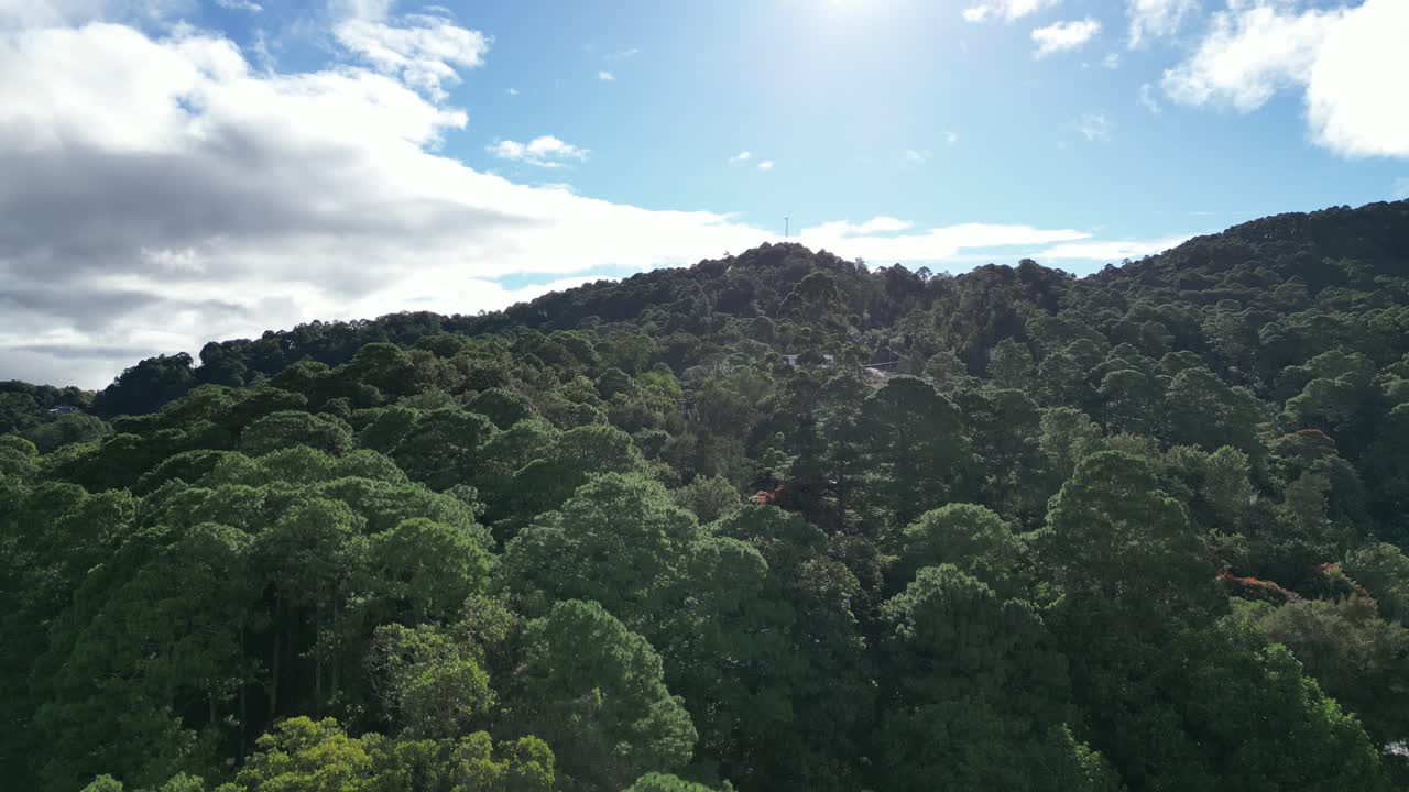 Drone view descending into lush tropical forest in rural town of Santa Lucía, Honduras.