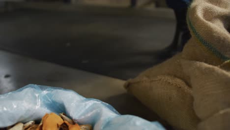 Hands-of-african-american-woman-at-gin-distillery-inspecting-juniper-berries-and-fruit-peel-in-sacks