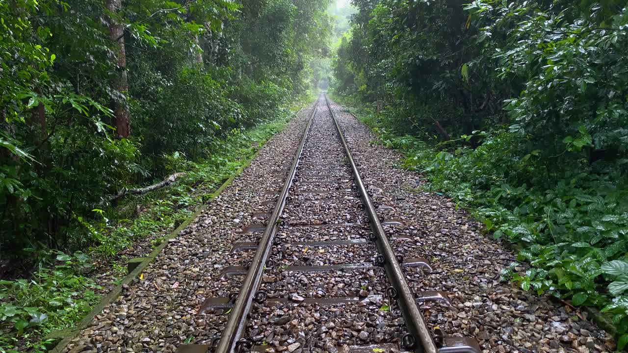 Trilhos de trem atravessam o centro de uma floresta verde exuberante, com movimento de câmera para baixo.