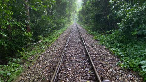 las vías del ferrocarril corren a través del centro de un bosque verde exuberante, se inclinan hacia abajo