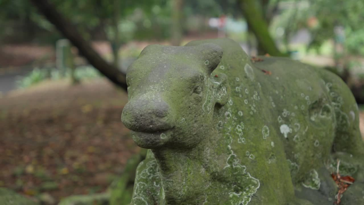 Moss-covered Arca Nandi Stone Sculpture At The Park. closeup shot