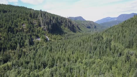 slow flight down a rugged boreal valley