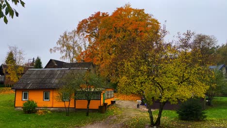 casa báltica tradicional de madera amarilla con árbol de otoño amarillo exterior fijo