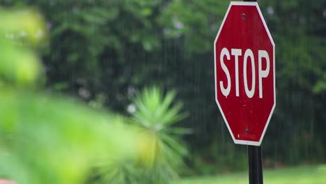 stop sign in the rain as car passes by