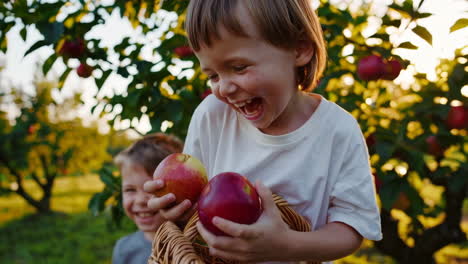 happy child picking fresh apples in an orchard