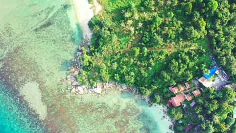 tropical-sea-shore-background