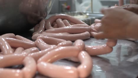 Wurst-Fleisch-Prozess-Fabrik-Produktion-Handgemacht-Geräuchert-Gekocht-Wrap-Hackfleisch-Gewürz