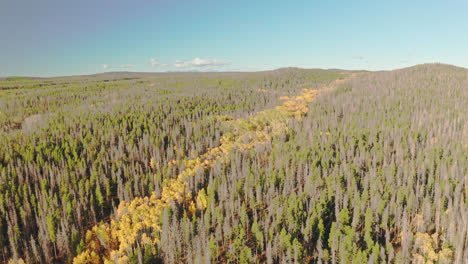 northern colorado drone footage of fall colors in the mountains