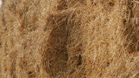 hayacks. pared al aire libre en un campo agrícola.