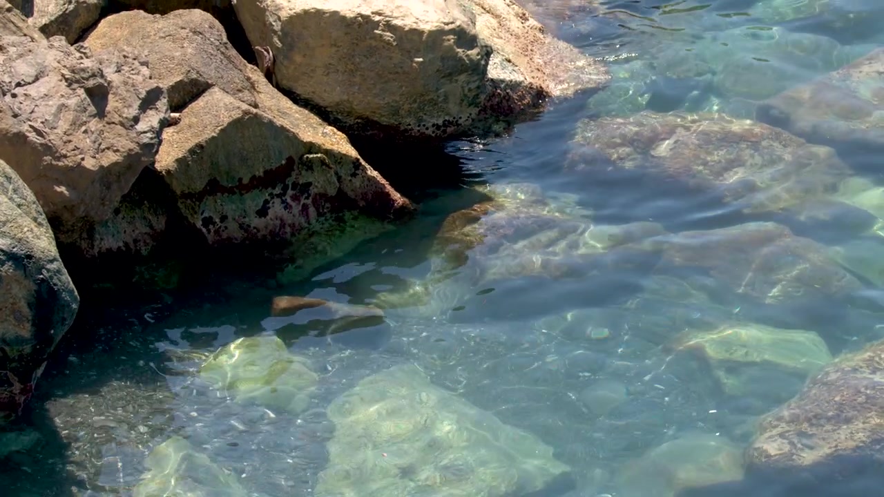 Inquadratura statica dall'alto di acqua trasparente del Mar Mediterraneo che si muove dolcemente su rocce costiere illuminate dal sole.